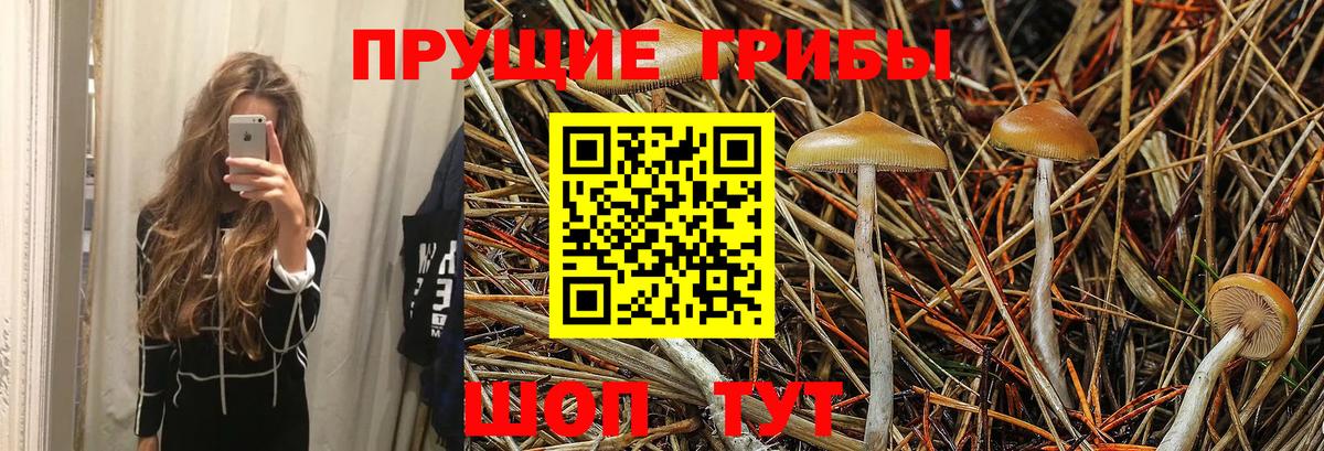Галлюциногенные грибы ЛСД  Вход с VPN  Канаш 