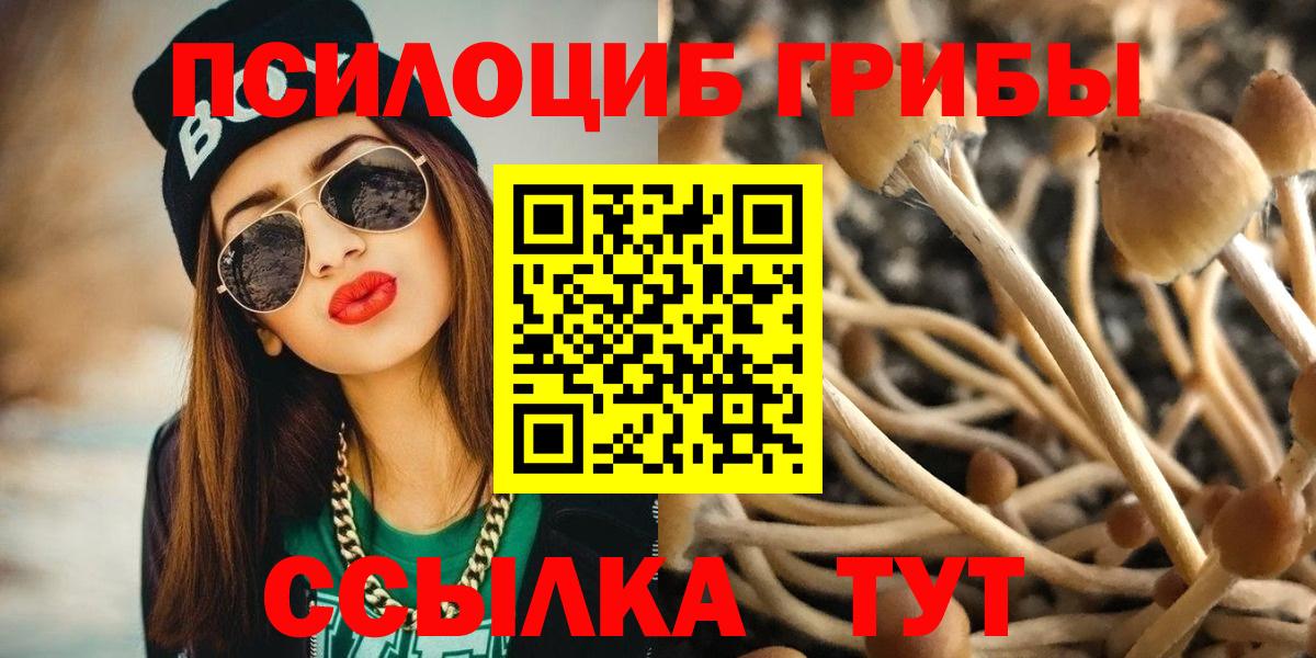 Псилоцибиновые грибы мицелий Канаш